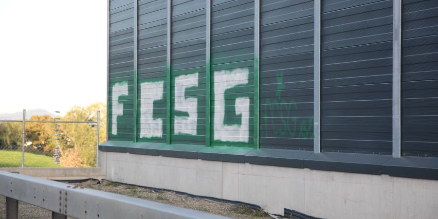 Kaum war sie fertiggestellt, wurde die graue Lärmschutzwand Höhe Rorschacherberg mit einem Graffiti «verziert». Vor ein paar Tagen verschwand das Graffiti wieder.