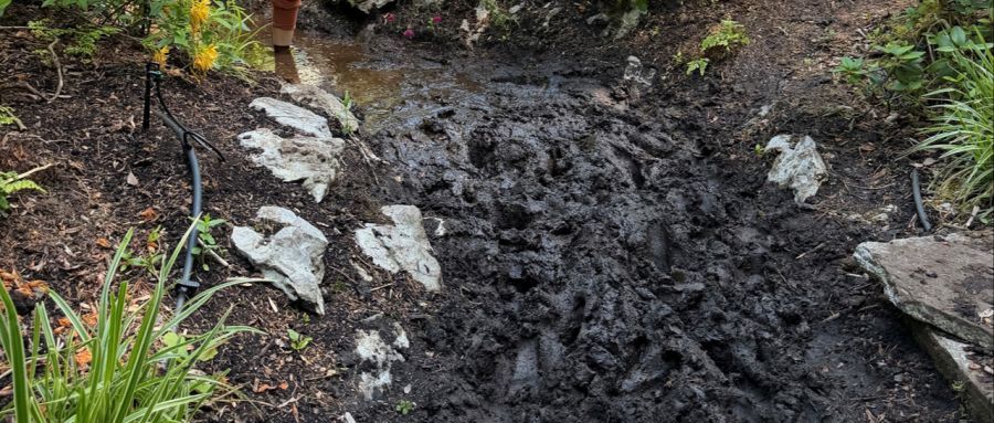 Der Schweigepfad im Seeleger Moor.
