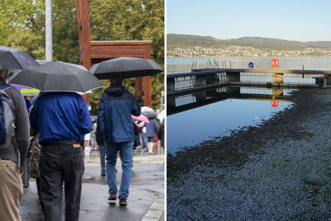 regen