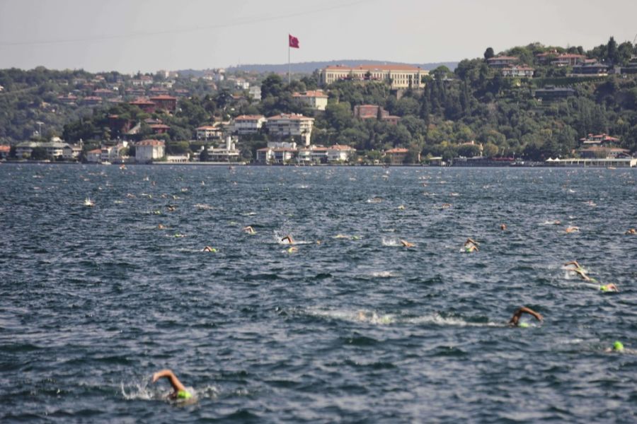 Bosporus Schwimmer