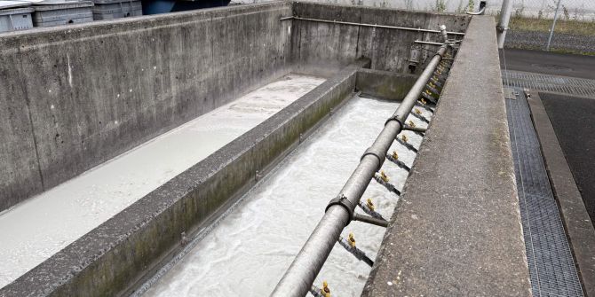 Walenstadt Kläranlage verunreinigt