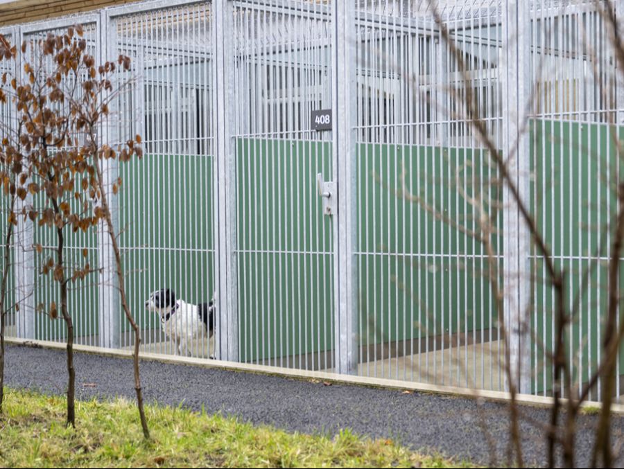 «Die Veterinärämter stehen immer vor der Herausforderung, einen Platz für die Tiere zu finden und die Kosten tragen zu müssen», sagt Netap-Präsidentin Esther Geisser.