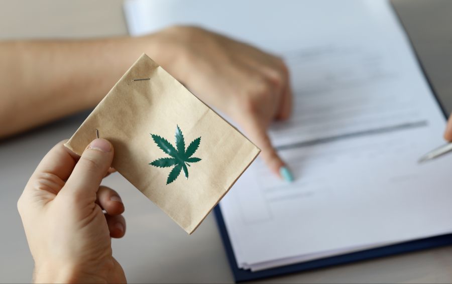 Cannabis Tüte Hand Dokument