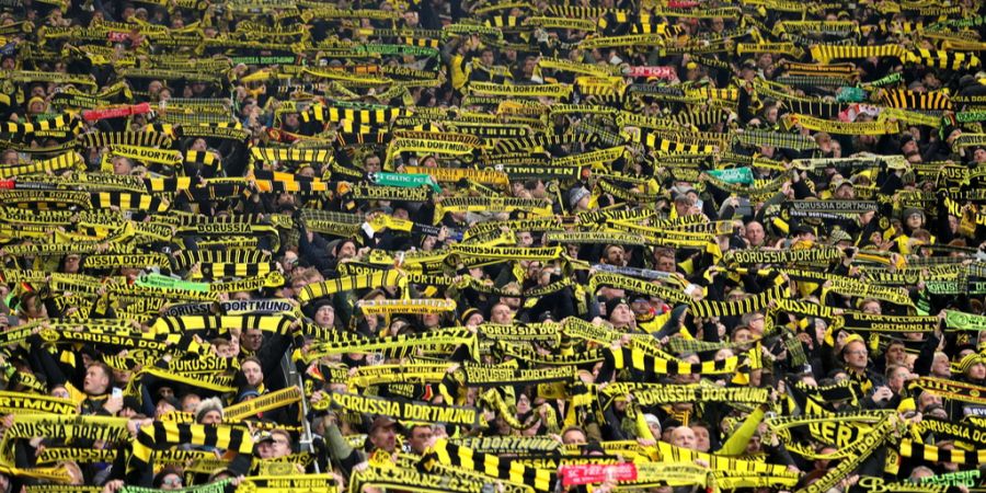 bvb