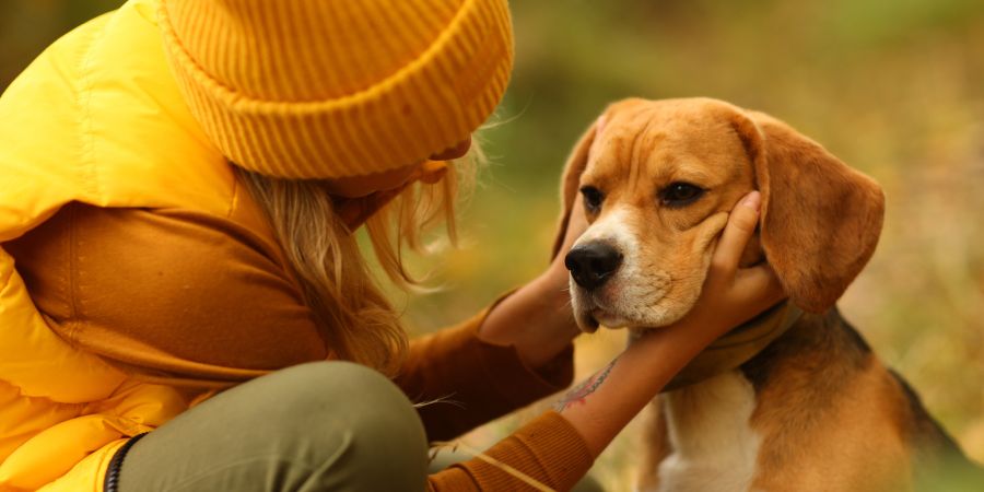 Hundehalterin nimmt Gesicht ihres Hundes in die Hände