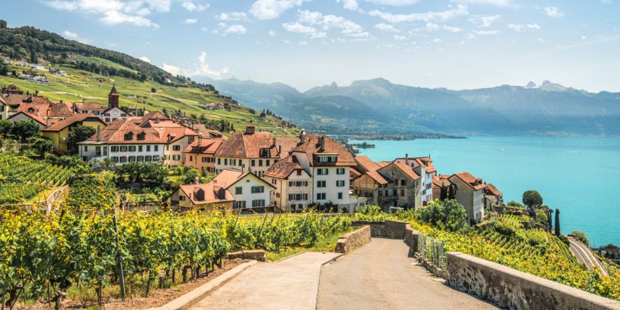 Mit der «Route des Grands Crus» erleben Sie ein einzigartiges Abenteuer inmitten der Terrassen von Lavaux, die zum UNESCO-Weltkulturerbe gehören.