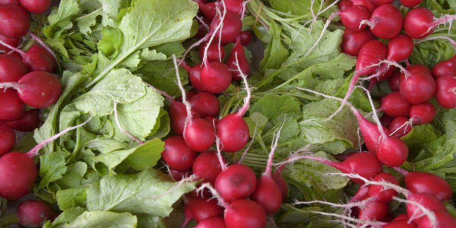 Der Berner Bio-Grossist Horai hat den Konkurs angemeldet. Die Umsätze bei den belieferten Bio-Fachläden und Restaurants sinken. Dies führt zu geringeren Bestellmengen. (Symbolbild)