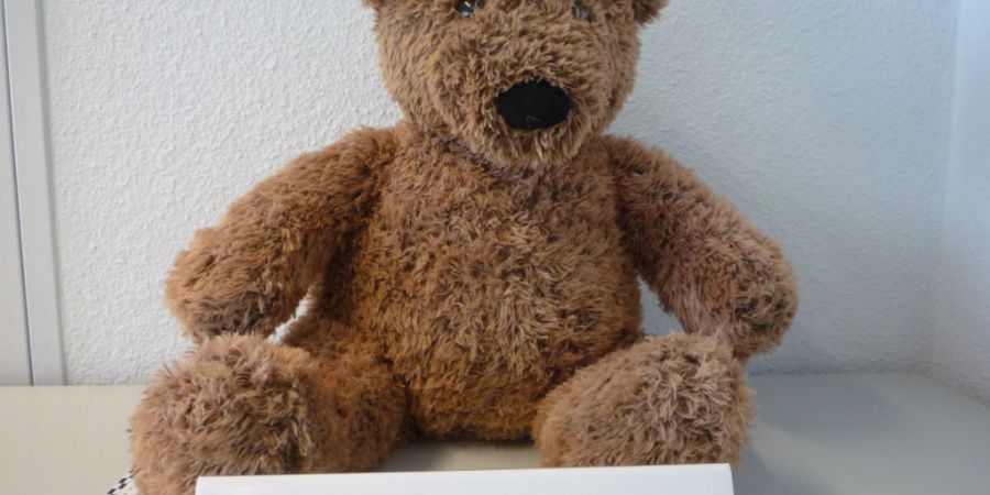 Dieser Teddybär hat es in sich. Er war mit Marihuana gefüllt. (Archivbild)