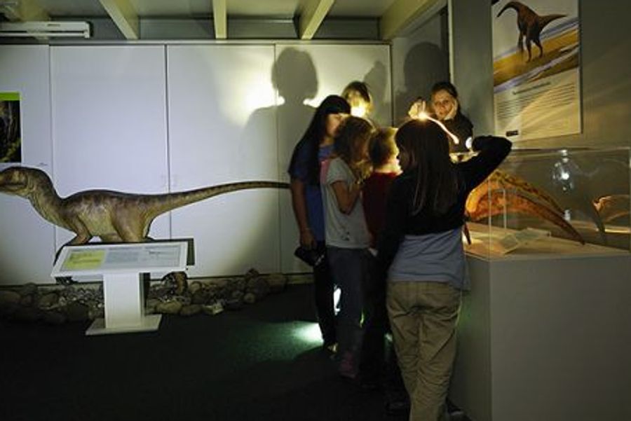 Sauriermuseum Aathal Nachtführung