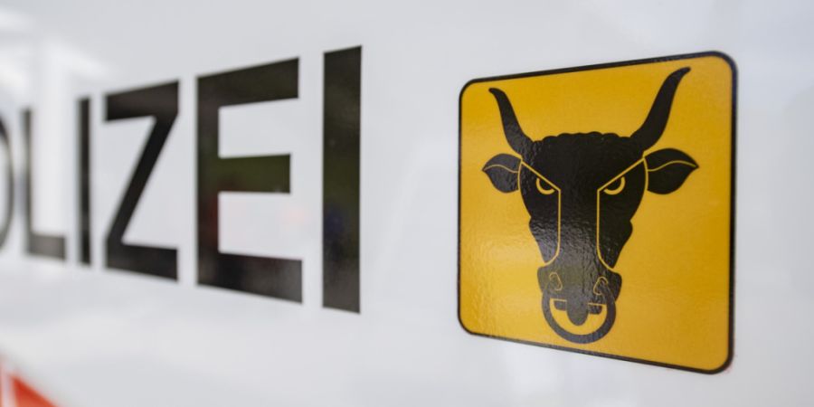 Die Kantonspolizei Uri rückte in der Nacht auf Samstag zu einem Unfall nach Haldi bei Schattdorf aus. (Symbolbild)