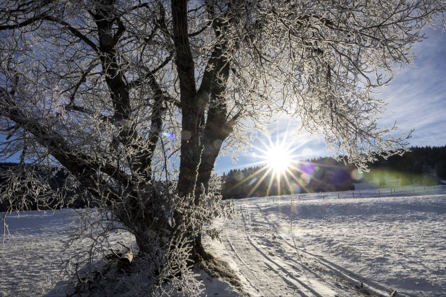 Die Idylle täuscht. In der Nacht auf Freitag steigen die Temperaturen. (Symbolbild)