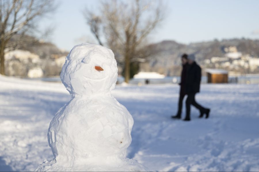Am Donnerstag gibt es Schnee bis ins Flachland. (Archivbild)