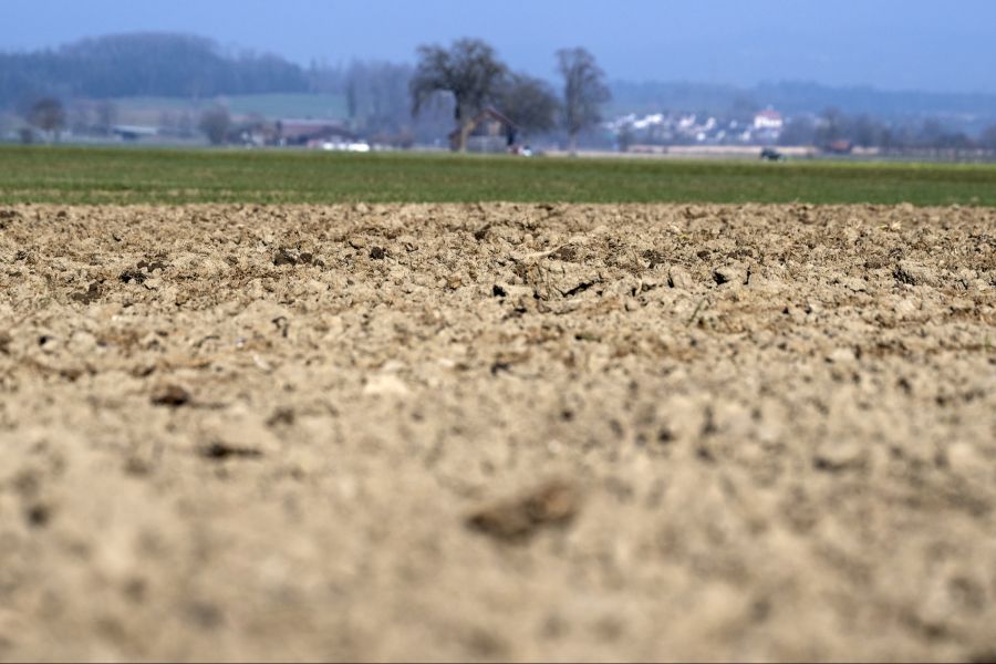 Auch die Bodenfeuchte ist aktuell ziemlich niedrig.