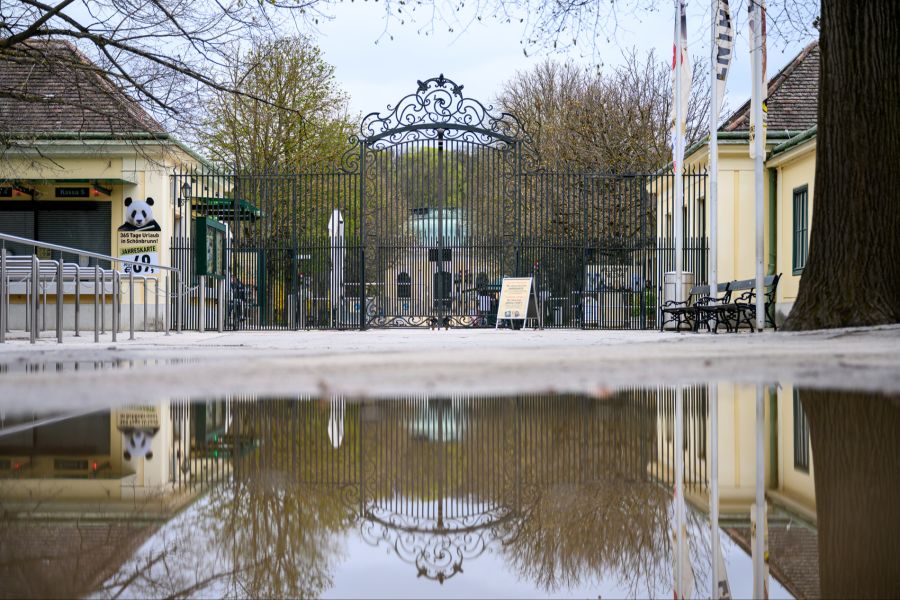 Wie es zum Mord am Zootier kommen konnte, ist noch unklar.