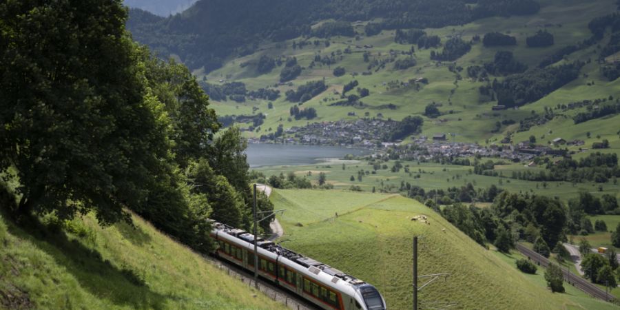 Eine S-Bahn der Südostbahn auf der Strecke Arth-Goldau-Biberbrugg im Kanton Schwyz. (Archivaufnahme)