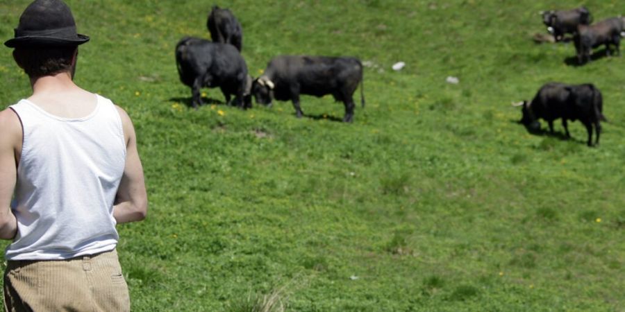 Auf den Alpweiden herrscht Personalmangel. (Symbolbild)