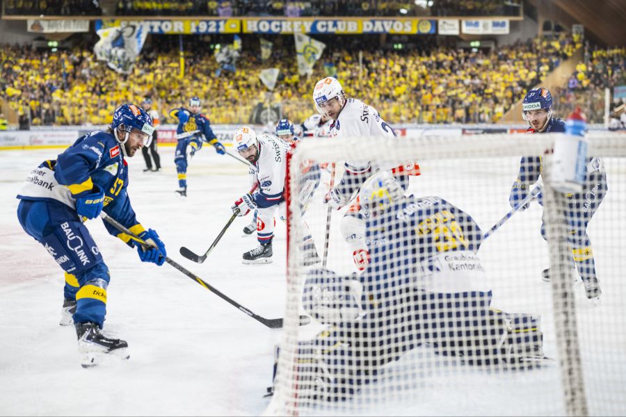 ZSC Lions HC Davos