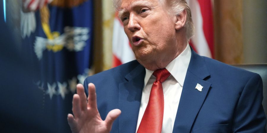 Brasilien hat den Vereinigten Staaten unter Präsident Donald Trump an der Ministerkonferenz der Welthandelsorganisation (WTO) in Kamerun die Stirn geboten.