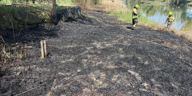 Rheineck Schilfrohrbrand