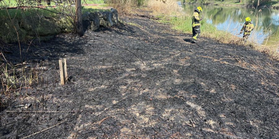 Rheineck Schilfrohrbrand