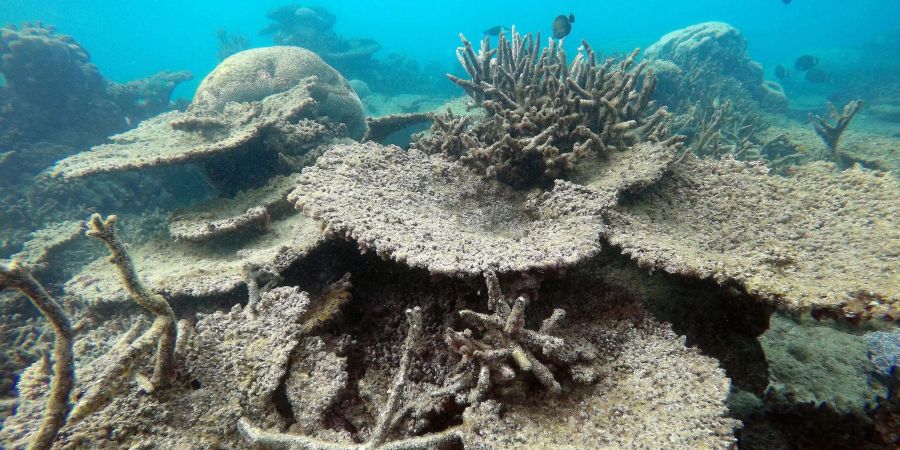 Great Barrier Reef