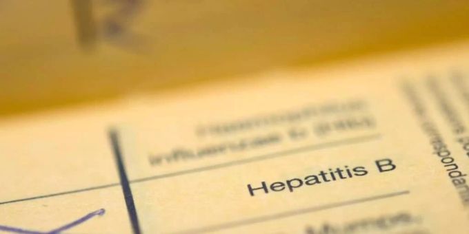 hepatitis b