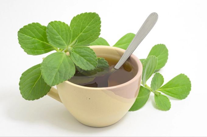 Der immergrüne Boldo wird gerne als Acetaminofen-Pflanze genannt. Seinen Blättern sagt man antioxidative, entzündungshemmende, beruhigende und harntreibende Eigenschaften nach. Tasse Tee Blätter grün