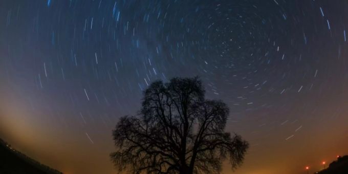 Sternenhimmel über einem Baum. (Archivbild) planetS