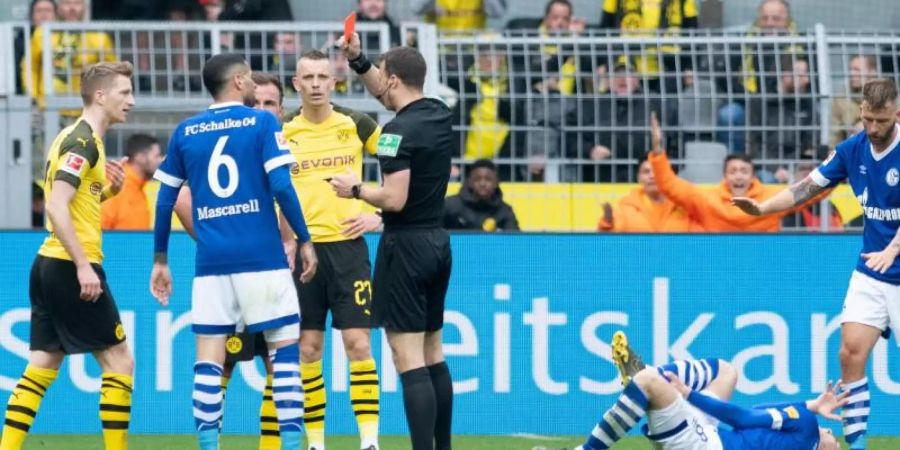 Schiedsrichter Felix Zwayer zeigte Dortmunds Marco Reus (l) die Rote Karte. Foto: Bernd Thissen