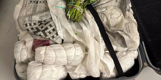 Sichergestelltes Khat Sichergestelltes Khat Quelle: Kantonspolizei Zürich