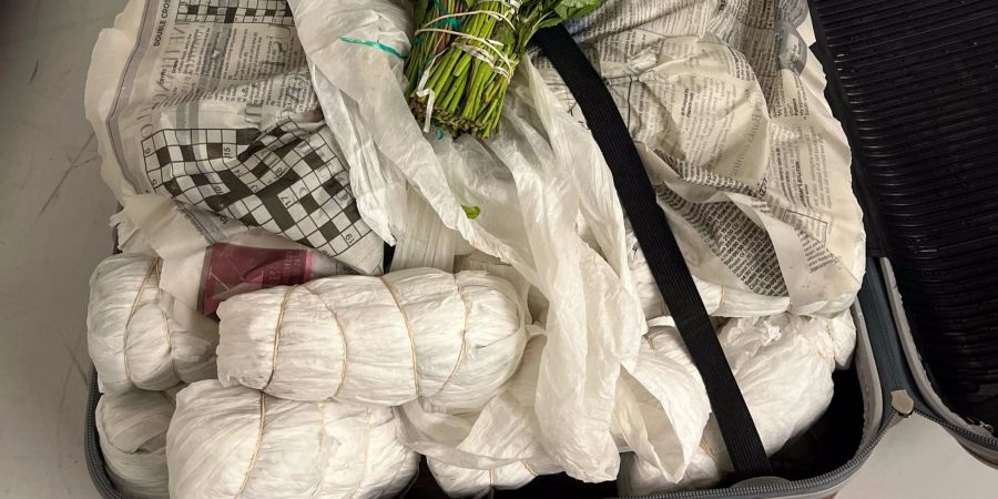 Sichergestelltes Khat Quelle: Kantonspolizei Zürich