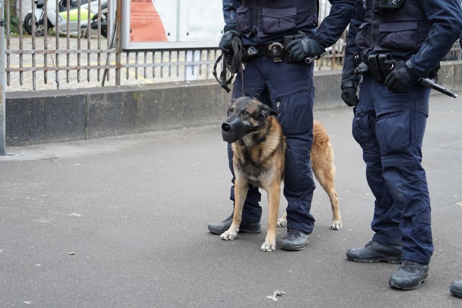 Auch Polizeihunde waren vor Ort.