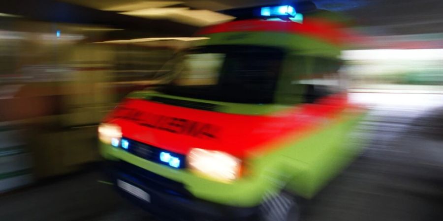 europa kreml kritikerinnen