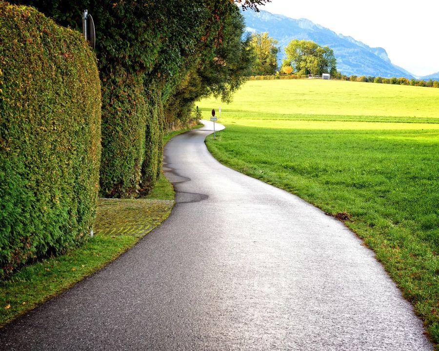 Strasse Weg Garten Hecke Grundstück