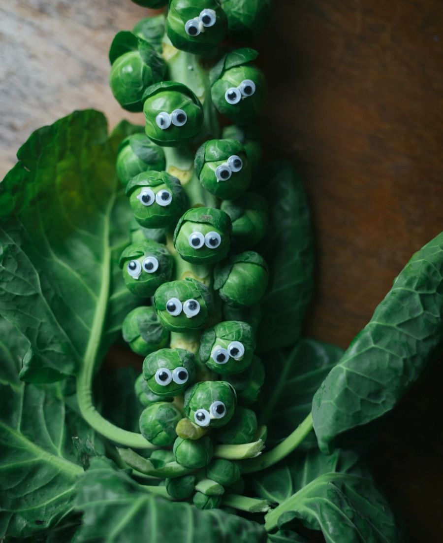 Rosenkohl Staude Augen Gemüse