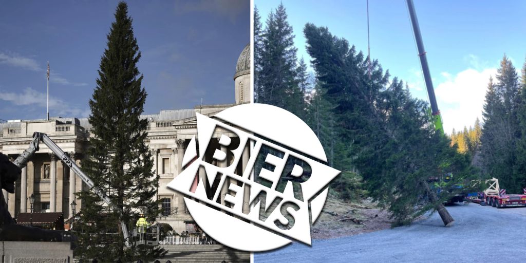 London lacht über geschenkten Weihnachtsbaum aus Norwegen