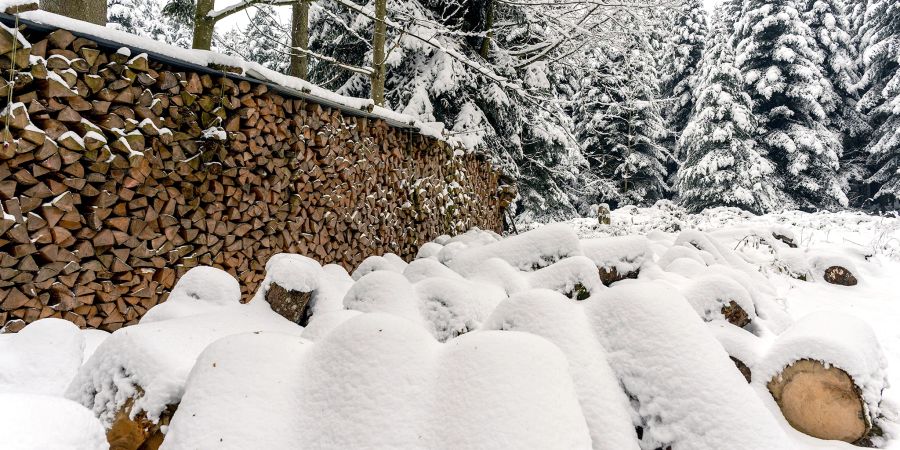 Geschlagene Holzhurden im verschneiten Wald. (Symbolbild)