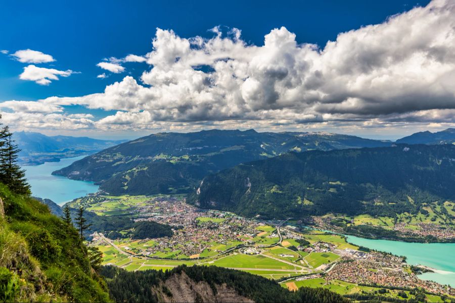 Schynige Platte auf Thunersee