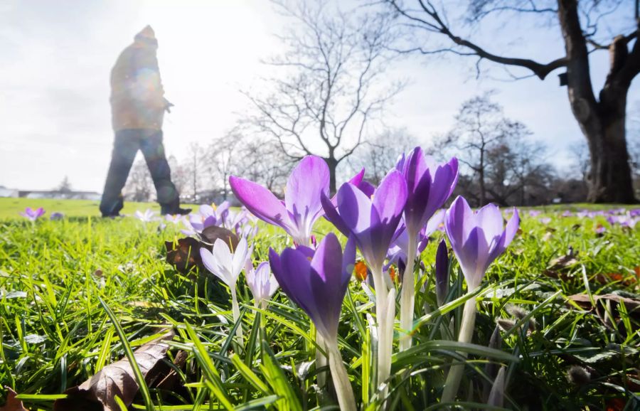 Frühling