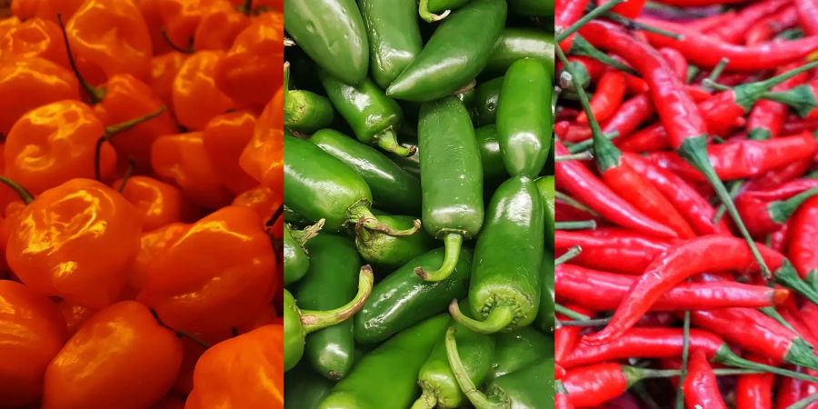 Jalapeno Hot Chili Habanero