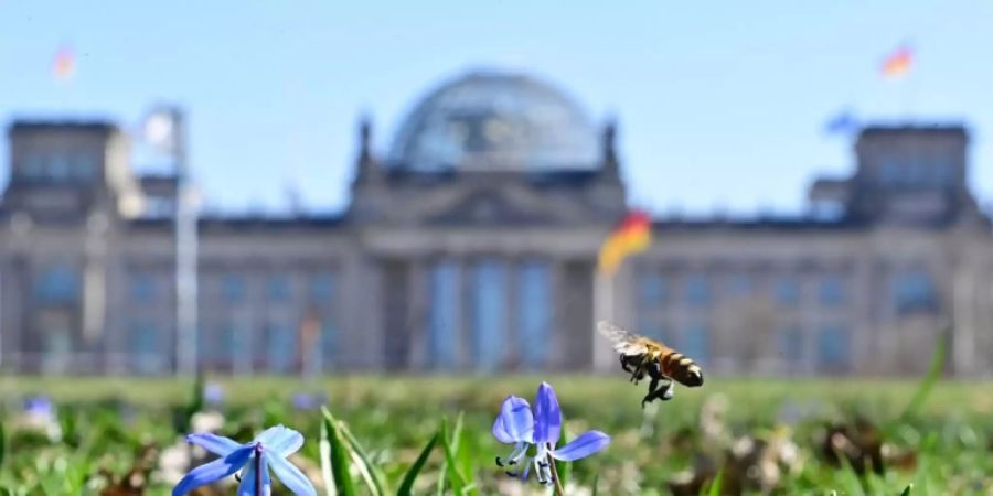 Das Reichstagsgbäude in Berlin