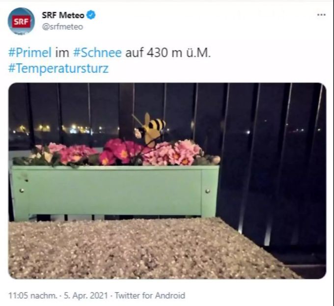 Wetter Ulli Schweiz