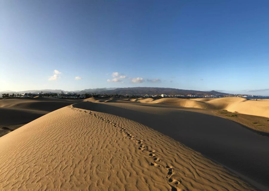 Strand Dünen.