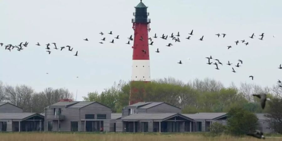 Ferienhäuser und Ferienwohnungen auf der Nordseeinsel Pellworm. Foto: Marcus Brandt/dpa