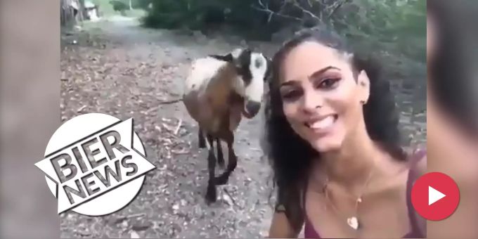 Achtung, Ziege! - Dieses Selfie verursacht Kopfschmerzen!