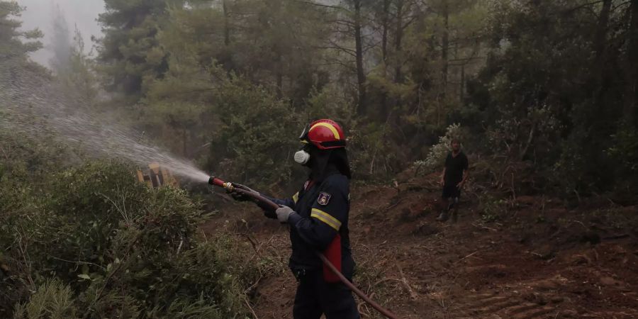 Huge battle with flames and resurgences in Evia Island