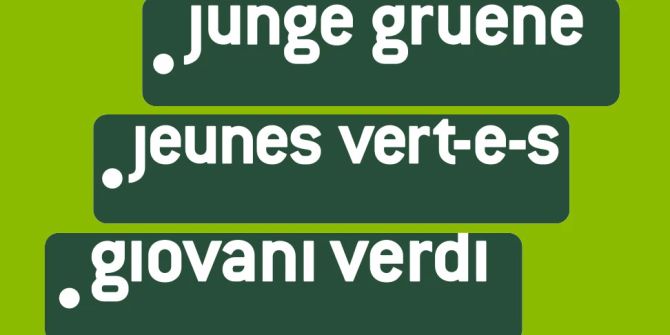 jungen grünen brief neuwähler