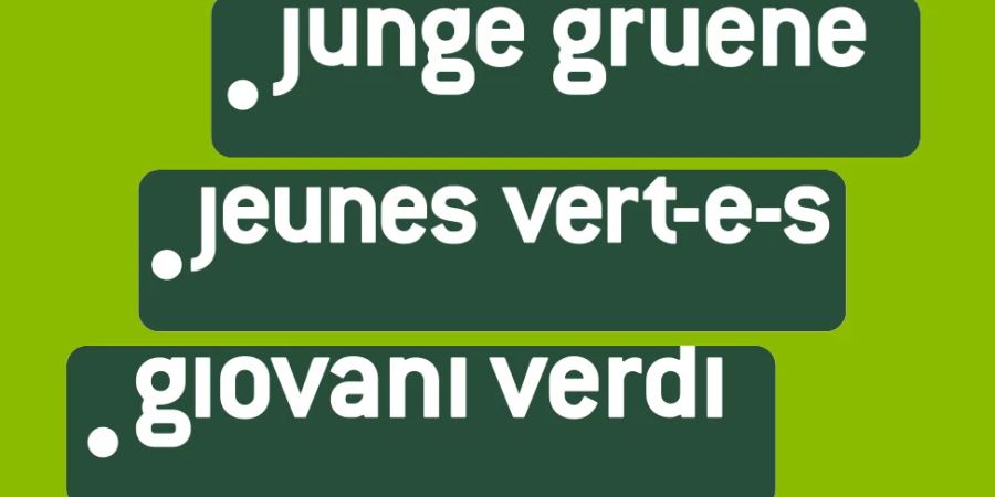 jungen grünen brief neuwähler