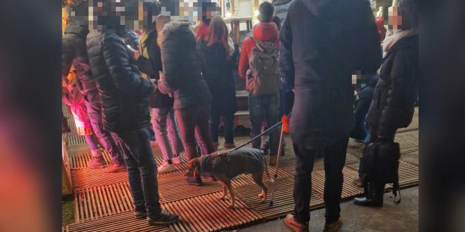 Hund Weihnachtsmarkt