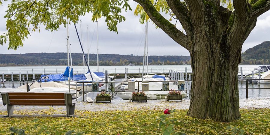 Im Hafen von La Neuveville verloren zwei Frauen das Leben durch einen Stromschlag. (Archiv)